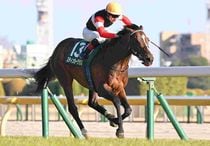 Ｒ8・ダイヤモンドSレースパネル　スティンガーグラス