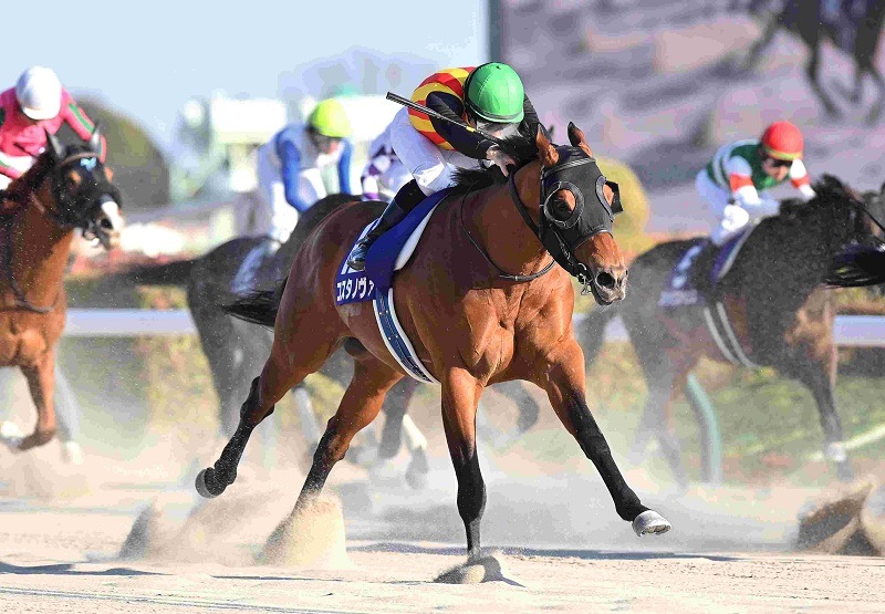 Ｒ8・フェブラリーSレースパネル　コスタノヴァ