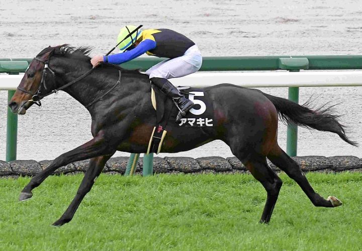 Ｒ8・松籟Sレースパネル　アマキヒ