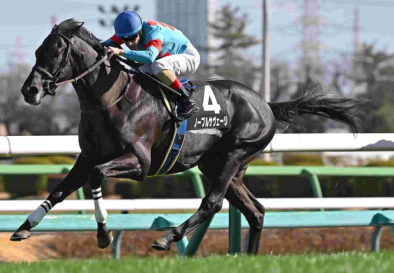 Ｒ8・水仙賞レースパネル　ノーブルサヴェージ