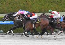 Ｒ8・仁川Sレースパネル　ジューンアヲニヨシ