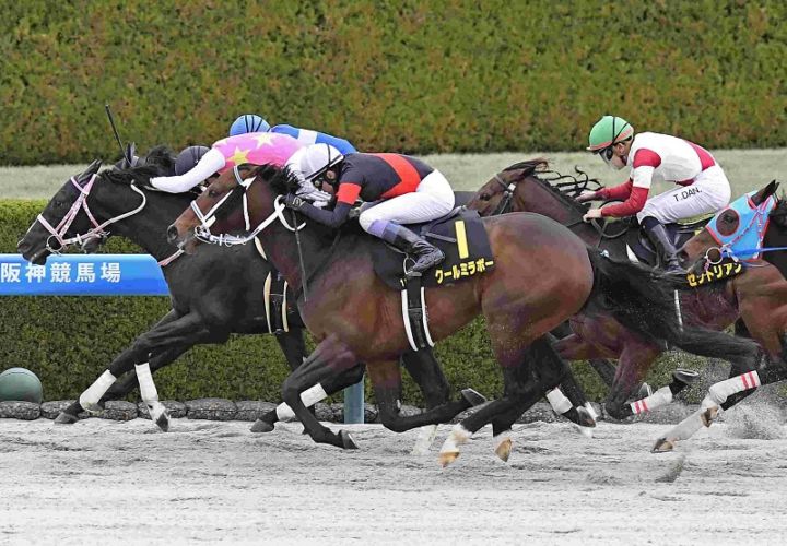 Ｒ8・仁川Sレースパネル　ジューンアヲニヨシ