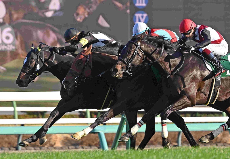 Ｒ8・オーシャンSレースパネル　ペアポルックス