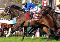 Ｒ8・チューリップ賞レースパネル　タイセイボーグ