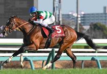 競馬,レース写真パネル | サンスポe-shop