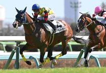 Ｒ8・3歳1勝クラス　中山（3/8）7Rレースパネル　ディールメーカー