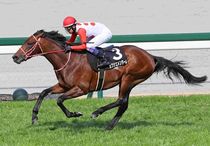 Ｒ8・アルメリア賞レースパネル　カフジエメンタール