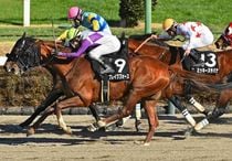 Ｒ8・総武Sレースパネル　ブレイクフォース