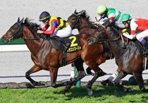 Ｒ8・大阪城Sレースパネル　ドラゴンブースト