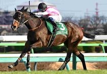 Ｒ8・中山牝馬Sレースパネル　エセルフリーダ