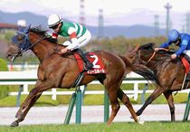 Ｒ8・フィリーズレビューレースパネル　ギリーズボール