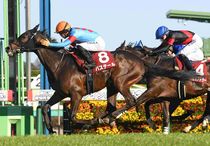 Ｒ8・弥生賞ディープインパクト記念レースパネル　バステール