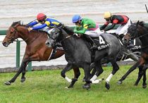 Ｒ8・ゆきやなぎ賞レースパネル　シャドウマスター