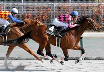 Ｒ8・昇竜Sレースパネル　スマートジュリアス