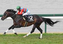 Ｒ8・米子城Sレースパネル　タマモブラックタイ