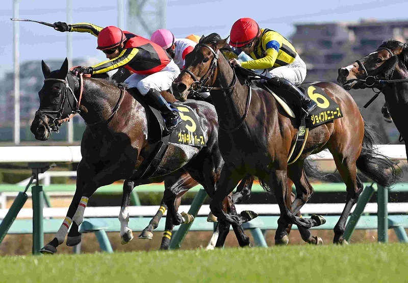 Ｒ8・東風Sレースパネル　ヴァルキリーバース