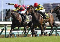 Ｒ8・東風Sレースパネル　ヴァルキリーバース