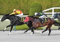 Ｒ8・コーラルSレースパネル　ジャスティンアース