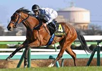 Ｒ8・アネモネSレースパネル　ディアダイヤモンド