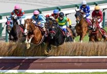 Ｒ8・阪神スプリングジャンプレースパネル　ディナースタ