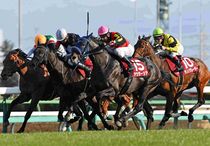 Ｒ8・スプリングSレースパネル　アウダーシア