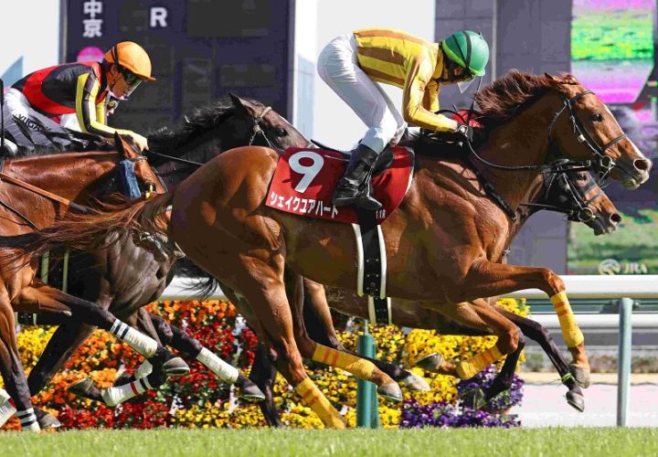 Ｒ8・金鯱賞レースパネル　シェイクユアハート