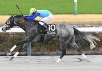 Ｒ8・千葉Sレースパネル　ドラゴンウェルズ
