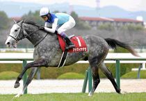 Ｒ8・阪神大賞典レースパネル　アドマイヤテラ
