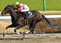 Ｒ8・伏竜Sレースパネル　ダノンバーボン　