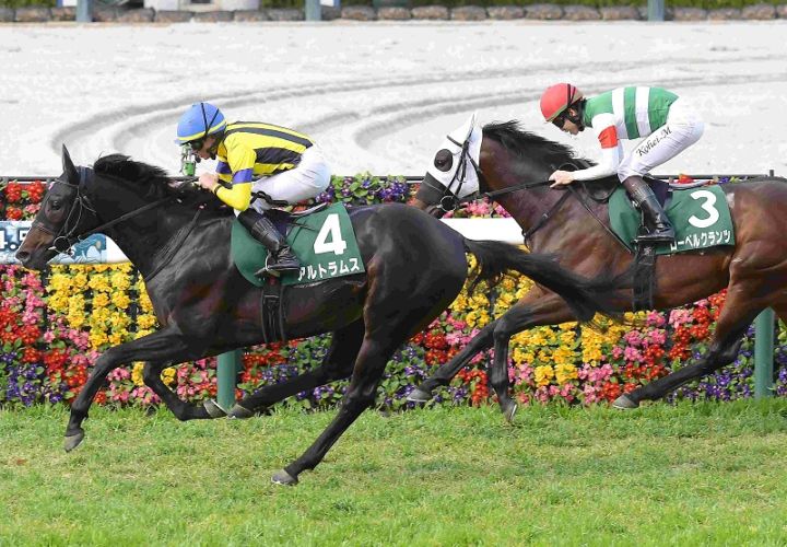 Ｒ8・毎日杯レースパネル　アルトラムス　