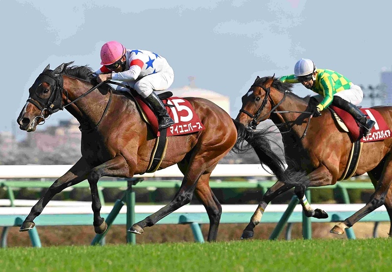 Ｒ8・日経賞レースパネル　マイユニバース　