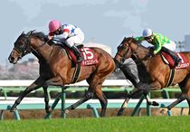 Ｒ8・日経賞レースパネル　マイユニバース　
