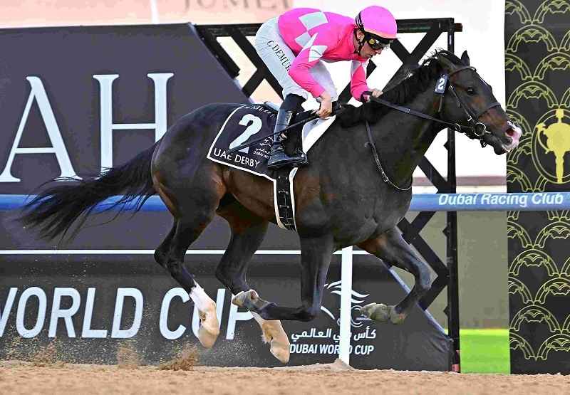 Ｒ8・UAEダービーレースパネル　ワンダーディーン　