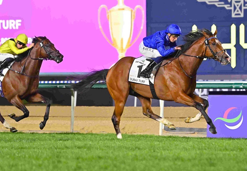 Ｒ8・ドバイターフレースパネル　オンブズマン　