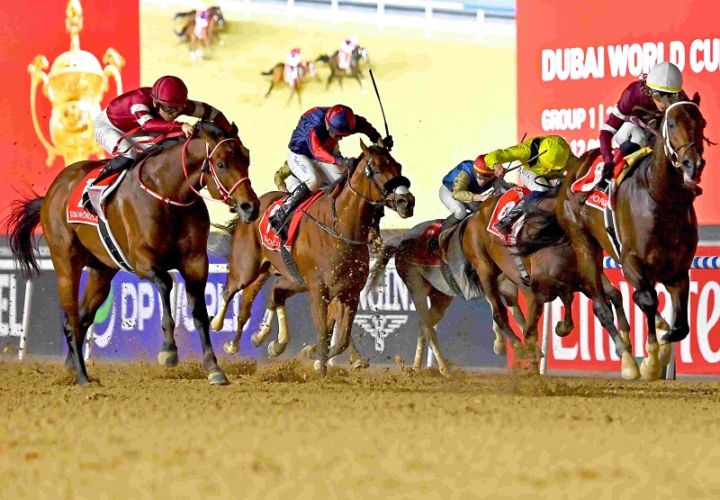 Ｒ8・ドバイワールドCレースパネル　マグニチュード　