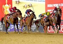 Ｒ8・ドバイワールドCレースパネル　マグニチュード　