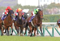 Ｒ8・高松宮記念レースパネル　サトノレーヴ