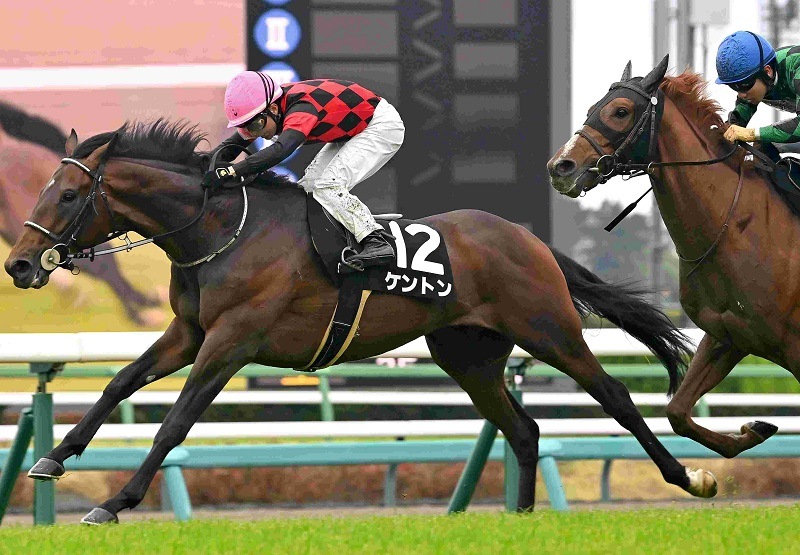 Ｒ8・山吹賞レースパネル　ケントン