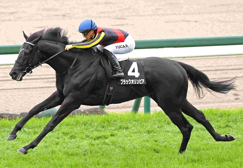 Ｒ8・アザレア賞レースパネル　ブラックオリンピア