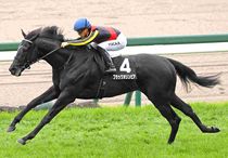 Ｒ8・アザレア賞レースパネル　ブラックオリンピア