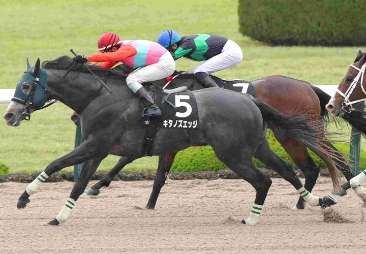 Ｒ8・ポラリスＳレースパネル　キタノズエッジ