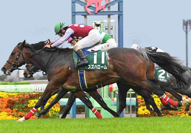 Ｒ8・ダービー卿チャレンジＴレースパネル　スズハローム