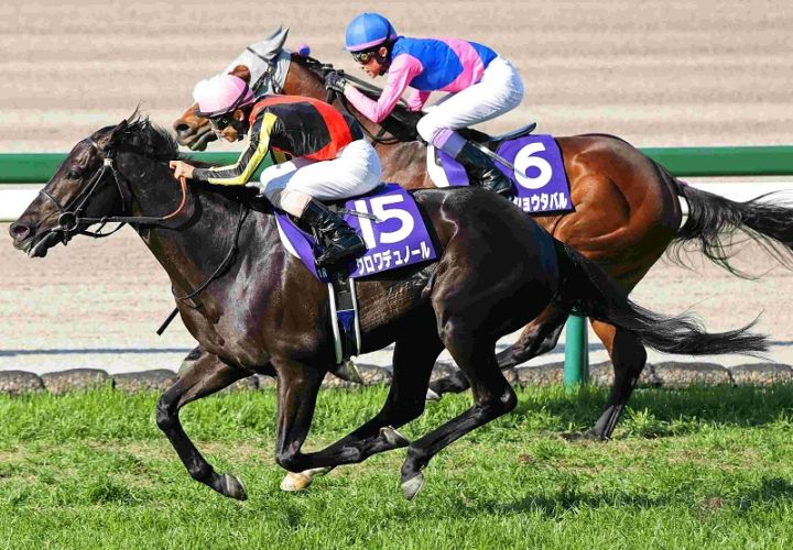 Ｒ8・大阪杯レースパネル　クロワデュノール