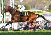 Ｒ8・福島民報杯レースパネル　サヴォーナ