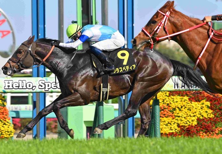 Ｒ8・春雷Sレースパネル　クラスペディア