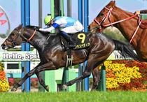 Ｒ8・春雷Sレースパネル　クラスペディア