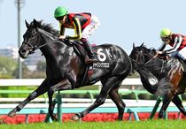 Ｒ8・山藤賞レースパネル　チャリングクロス