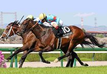 Ｒ8・大阪-ハンブルクCレースパネル　ウィクトルウェルス