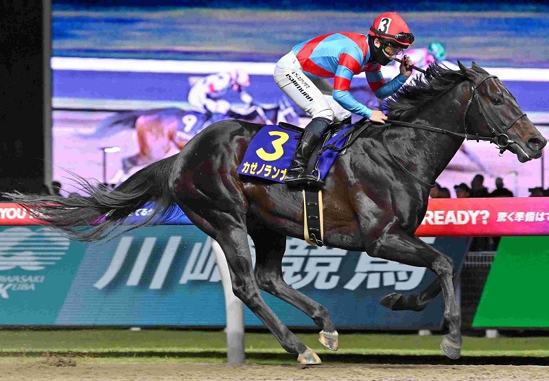 Ｒ8・川崎記念レースパネル　カゼノランナー