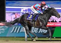 Ｒ8・川崎記念レースパネル　カゼノランナー